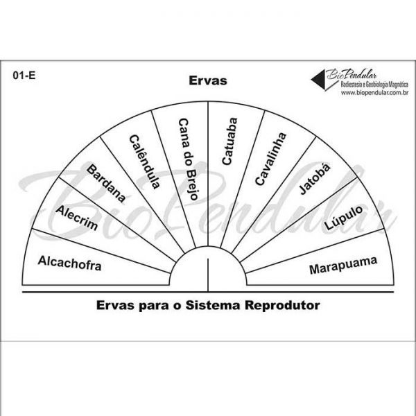Ervas - Sistema Reprodutor