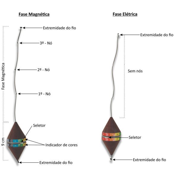 Pêndulo Cone Duplo - 2 FASES